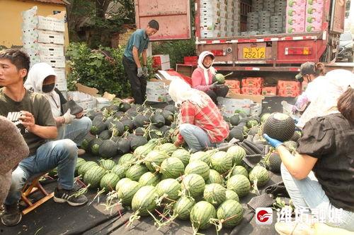 最新吃瓜前线,揭秘明星背后的惊人真相！