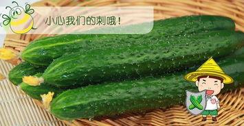 吃瓜六瓣,探寻瓜类美食的独特魅力