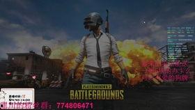 瓜妹吃鸡直播,欢乐竞技，畅享游戏时光