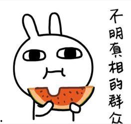 圈内吃瓜搞笑句子