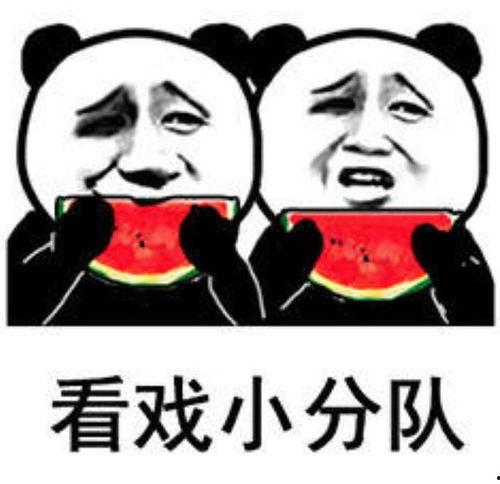 群吃瓜表情包