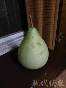 无效吃瓜,揭秘无效吃瓜背后的真相与反思