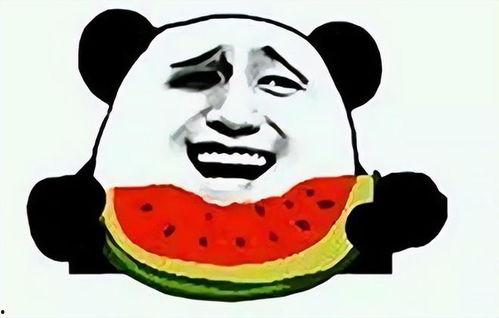 吃瓜的奇葩,揭秘那些奇葩的瓜界风云