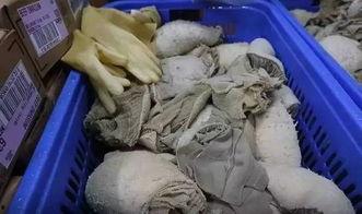 河北邯郸尸检吃瓜,吃瓜群众背后的真相探寻