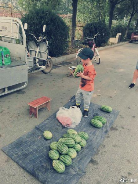 吃瓜小可爱莱州沙河,吃瓜小可爱探寻的生态秘境