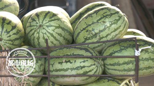 买个瓜吃三天,尽享夏日清凉时光