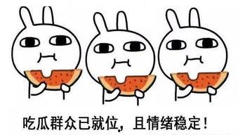 吃瓜搞笑推文,盘点那些让人捧腹的搞笑吃瓜瞬间