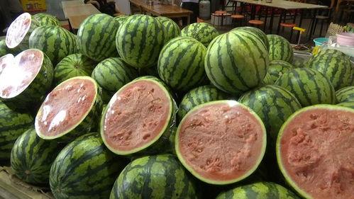 现在用什么吃瓜,揭秘当下热门的“吃瓜神器”