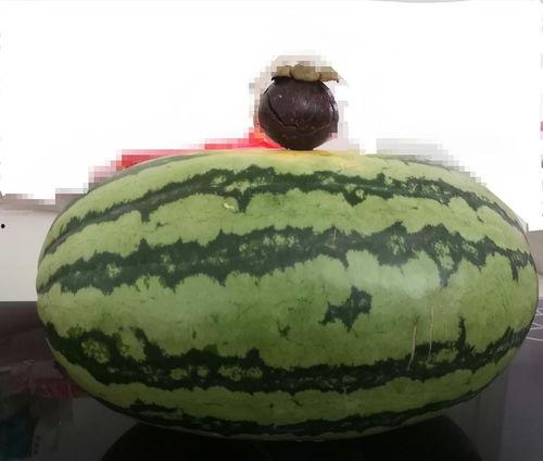 吃瓜盟主多大年龄