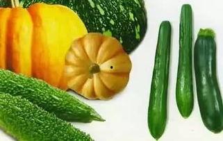 保定吃瓜事件详情,一场网络热议背后的真相与反思