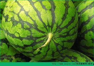 发烧瓜可以吃么,发烧期间适宜食用的瓜类食物推荐