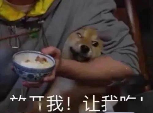 带你吃瓜雷人话,带你领略“带你吃瓜雷人话”的独特魅力