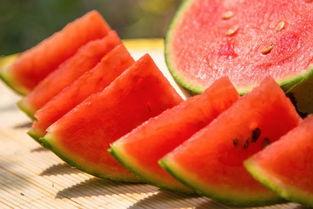 郑州财经吃瓜梗,吃瓜梗背后的行业风云