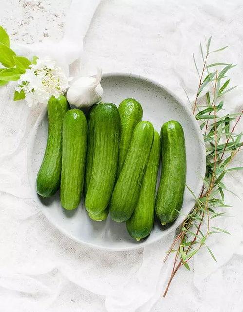 热植界吃瓜,揭秘植物界的热门话题与趣味事件