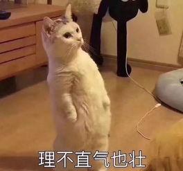 让你吃瓜来着,那些让你吃瓜的幕后故事