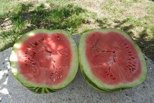 梦到别人请吃瓜给我吃,瓜香四溢，揭秘梦中他人请食瓜的神秘寓意