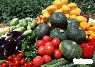 吃瓜菜带的年代,吃瓜菜带的年代变迁