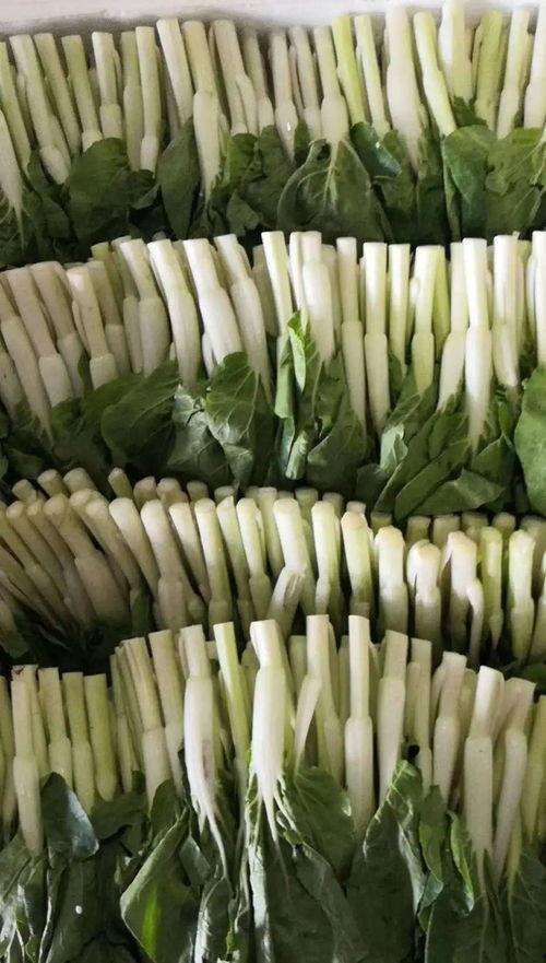 吃瓜天团,揭秘娱乐圈幕后风云