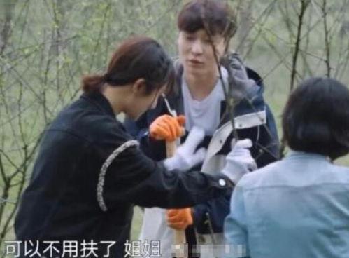 孙红雷杨紫吃瓜,娱乐圈新瓜爆不停