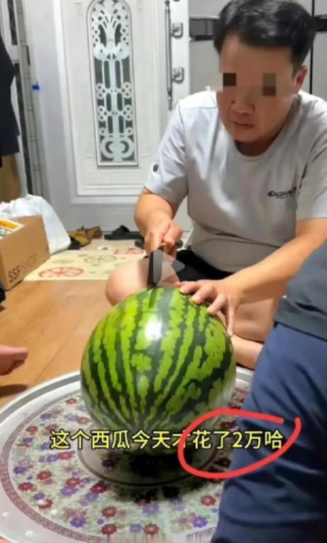 网络吃瓜现场,揭秘娱乐圈幕后真相