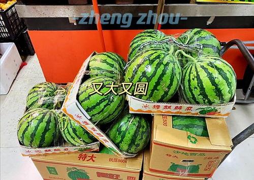 郑州本地吃瓜群