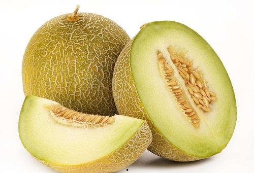 生病可以吃蜜瓜